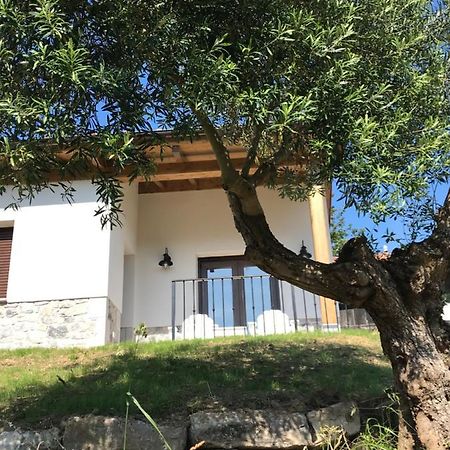 הוילה ריבאדסלה La Casina Del Olivo מראה חיצוני תמונה