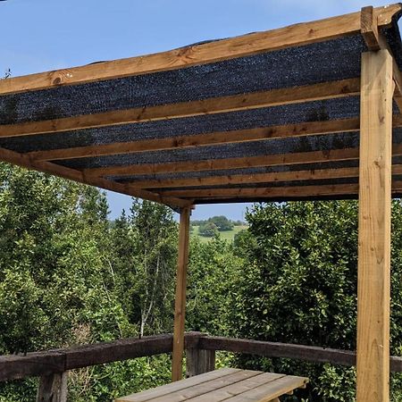 הוילה ריבאדסלה La Casina Del Olivo מראה חיצוני תמונה