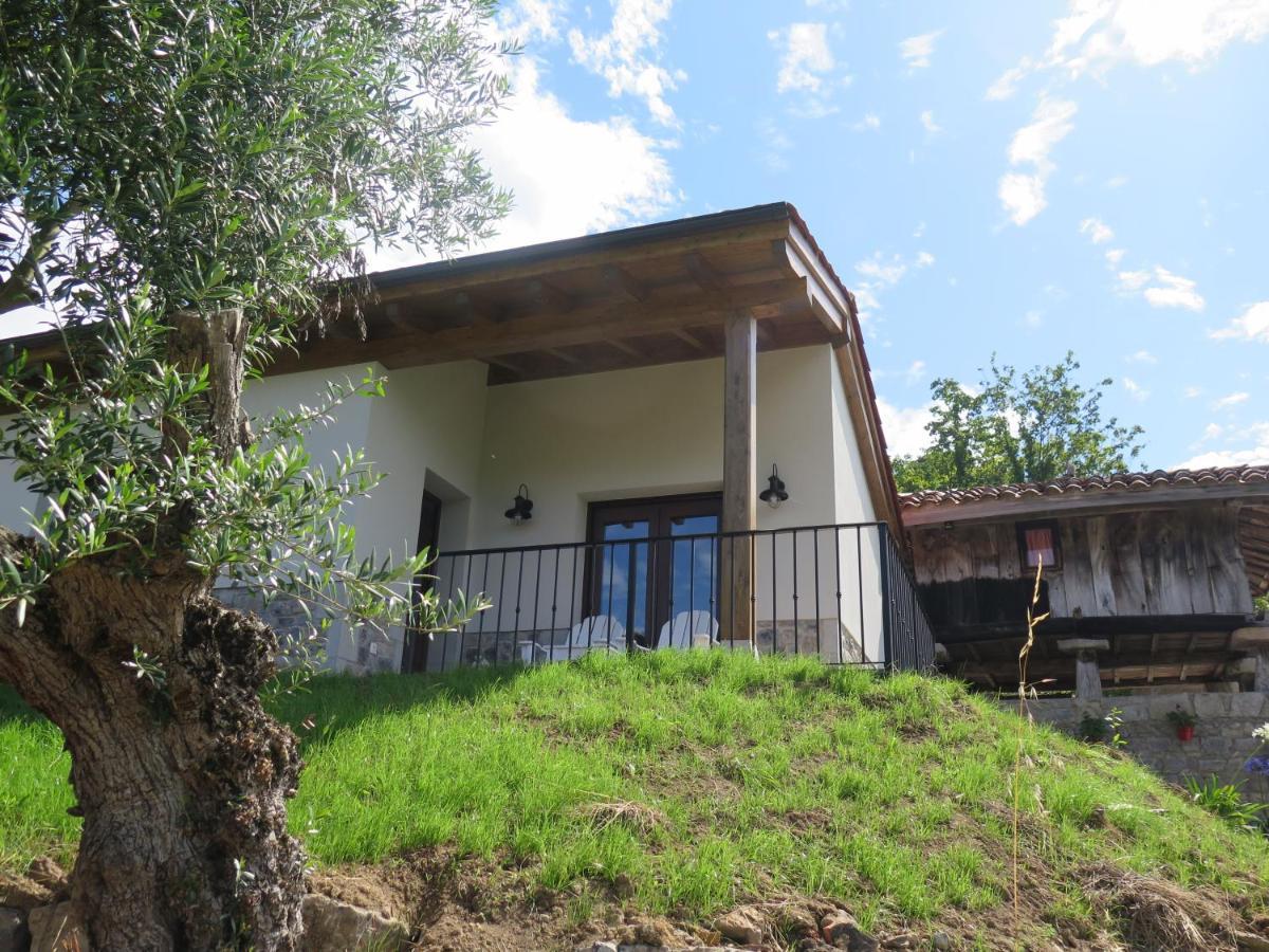 הוילה ריבאדסלה La Casina Del Olivo מראה חיצוני תמונה