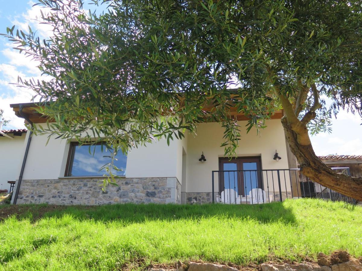 הוילה ריבאדסלה La Casina Del Olivo מראה חיצוני תמונה